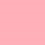358 - PEARLY ROSE - Format voyage