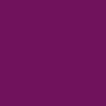 VIOLET VICE$