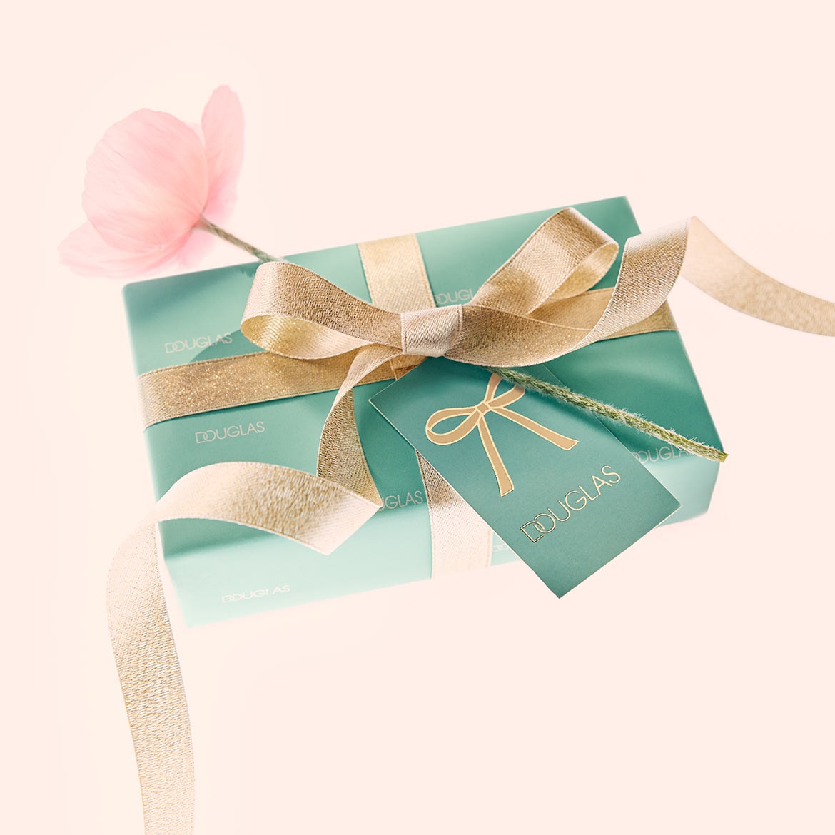 E mintfarbige Douglas-Gschenk isch mit eme goldige Band umwicklet, wo zu ere Schleife bunde isch, und es het e passendi Gschänkcharte mit ere goldige Schleife druff.