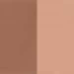FAIR WARM NUDE