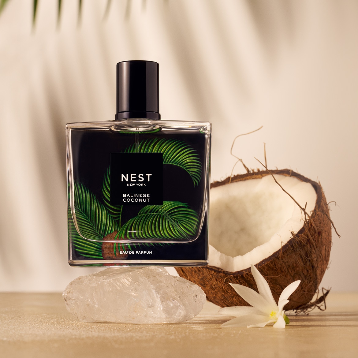 DACH_Nest_New_York-B.Coconut-EDP-Brand-Highlight-Teaser-1170x1170px.jpg