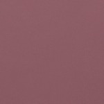 #A17477 - ROSE MOUNTBAT