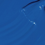 NAT019 - Shore is Something!