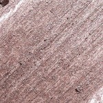 METALLIC TAUPE