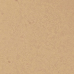 4 - TAN - Format voyage