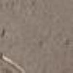 #3 Medium Brown