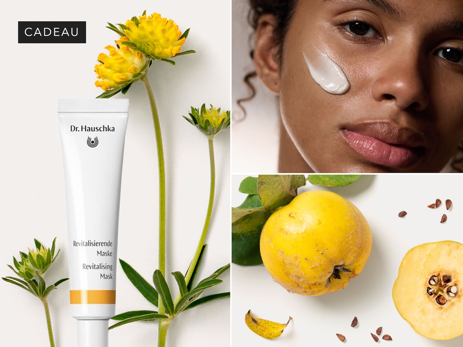 SD-80816-DACH-Split-Push-DR-Hauschka-KW37-FR (1).jpg