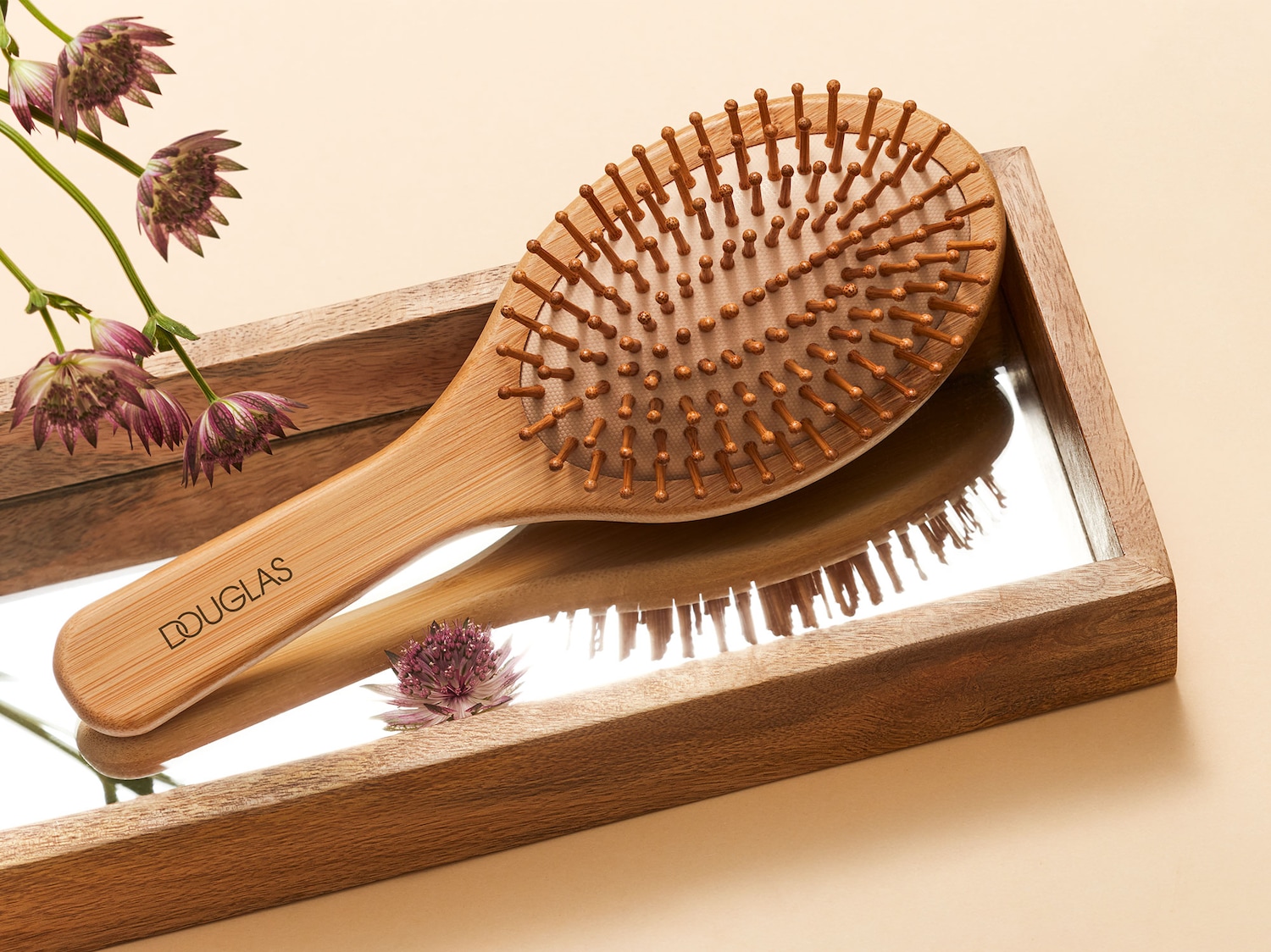 SD-82988_Teaser_DC-Brush_Split-2001x150.jpg