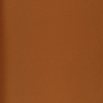 13 - WARM ALMOND