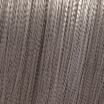 06/02 Natural Dark Sage