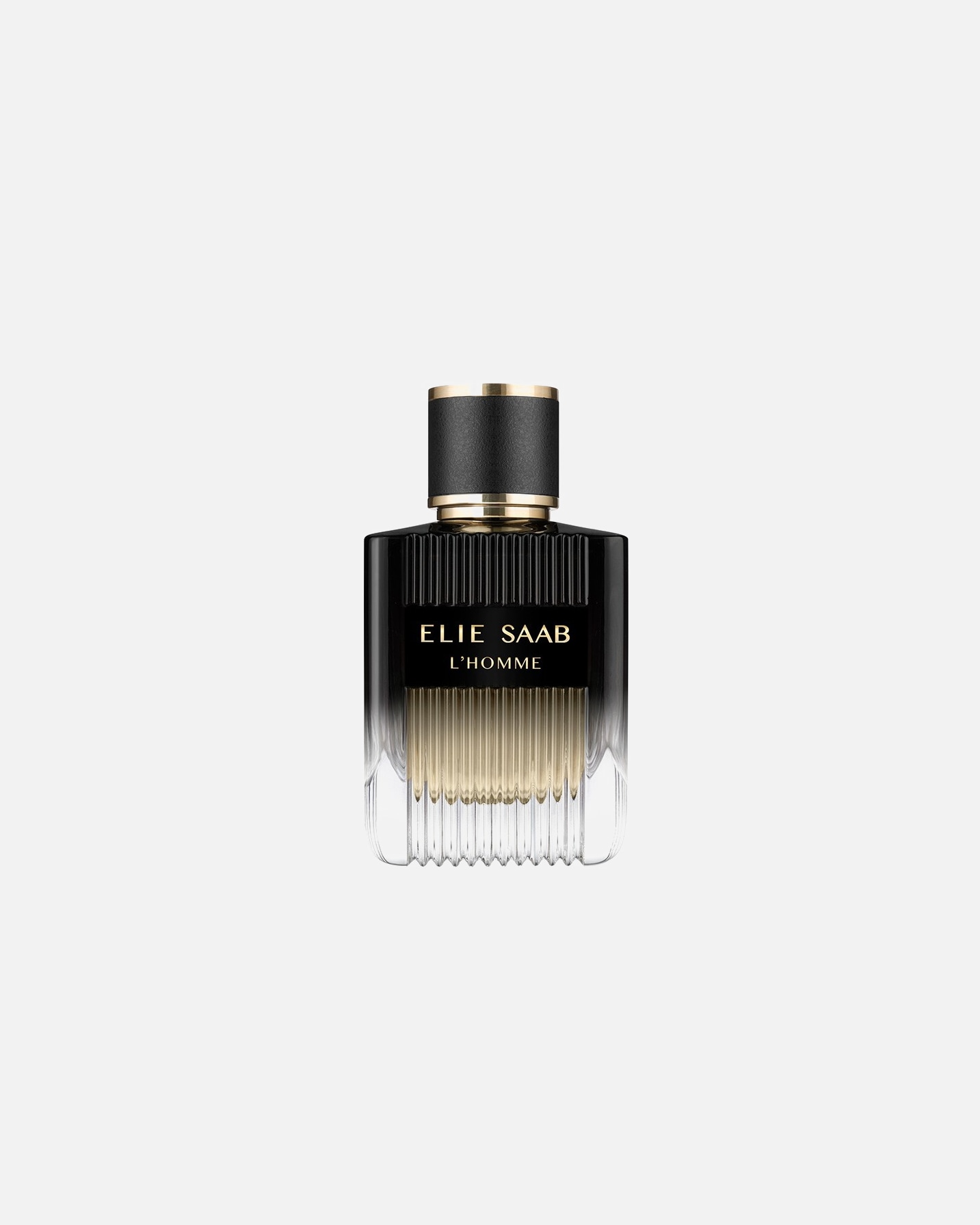 Eau de Parfum für Männlich Elie Saab L'Homme 100 ml
