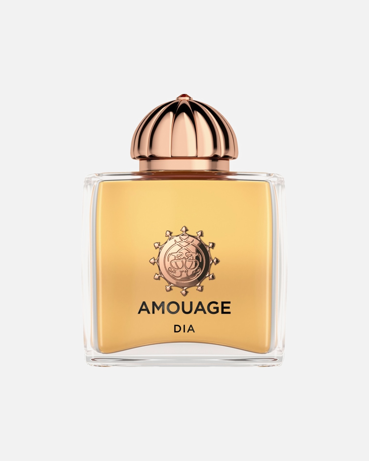 Eau de Parfum für Weiblich Amouage The Iconic Collection Dia 100 ml