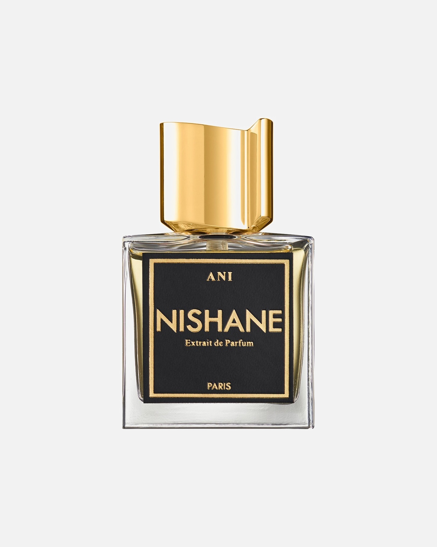 Parfum für Unisex NISHANE Ani 50 ml