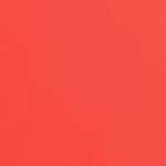 12 - Coral Excitement