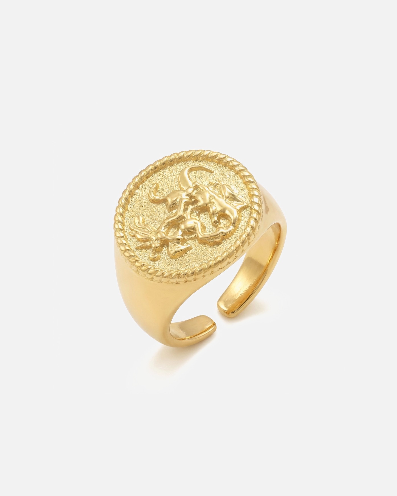 Ring für Männlich Heideman Ring Rurik Goldfarben