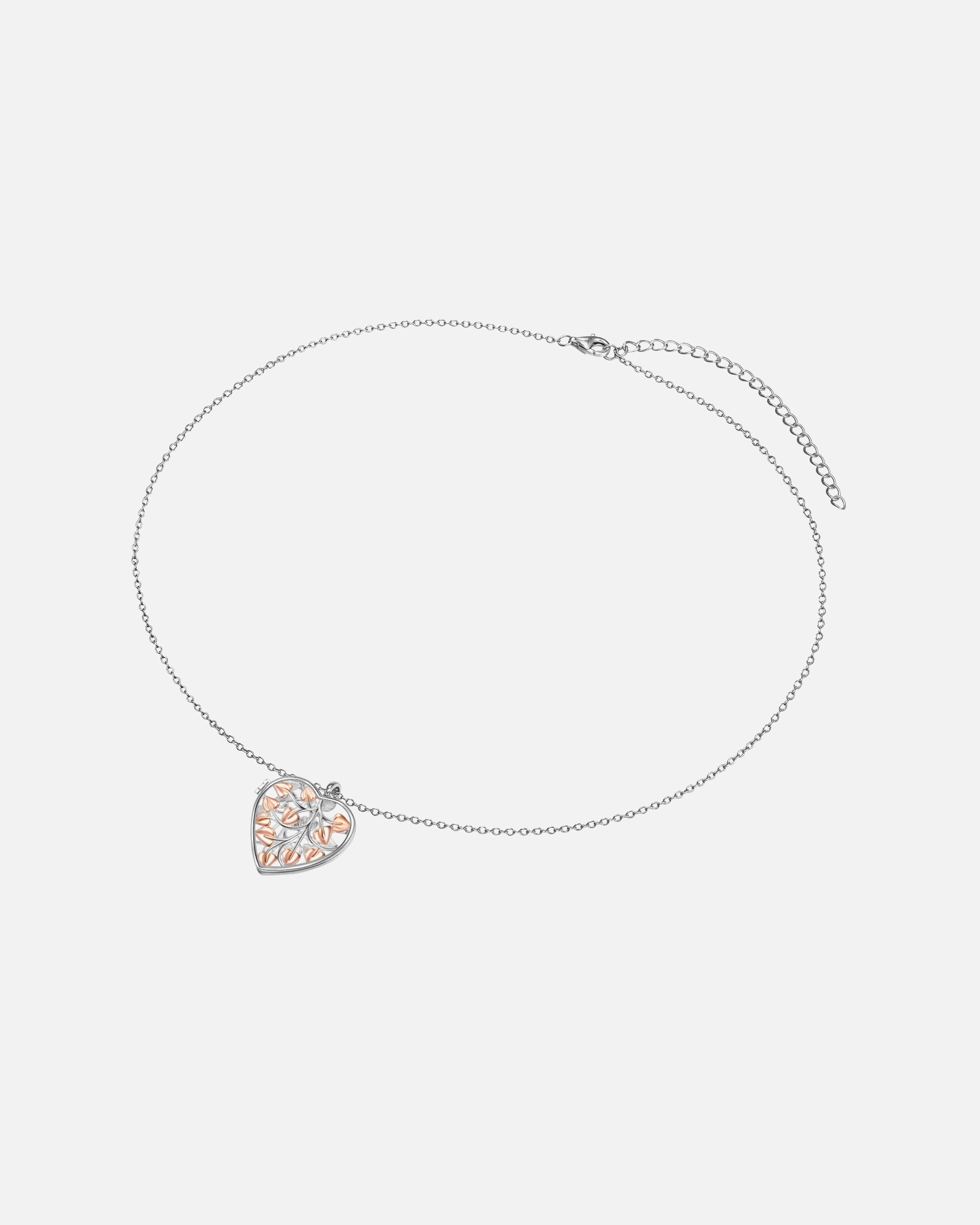 Collier for FemmeRafaela DonataCollier en argent Coeur Argent sterling en Argent42,0 cm Basiskette + 7,0 cm Verlängerung