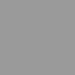 stone logo