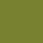 monotone khaki