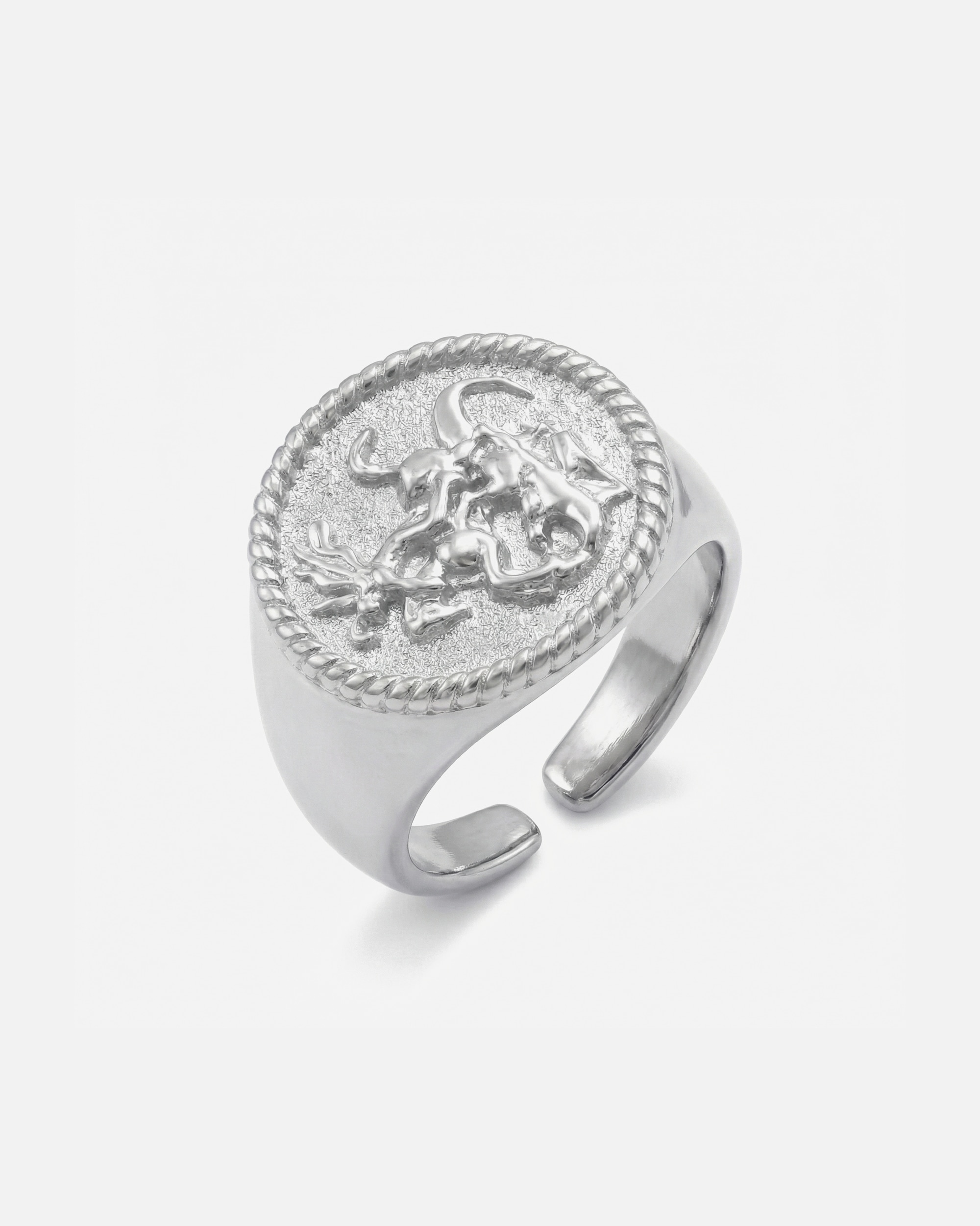 Ring für Männlich Ring Rurik Silberfarben