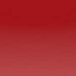 Nr. 888 - French-Idol