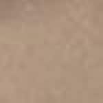 #2 Light Brown