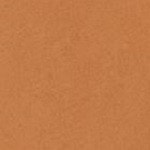 BB7544 - MARRON - Mini
