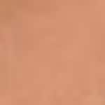 1 - WARM NUDE