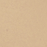 3 - HONEY - Format voyage