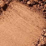 3 - TAN BRONZE