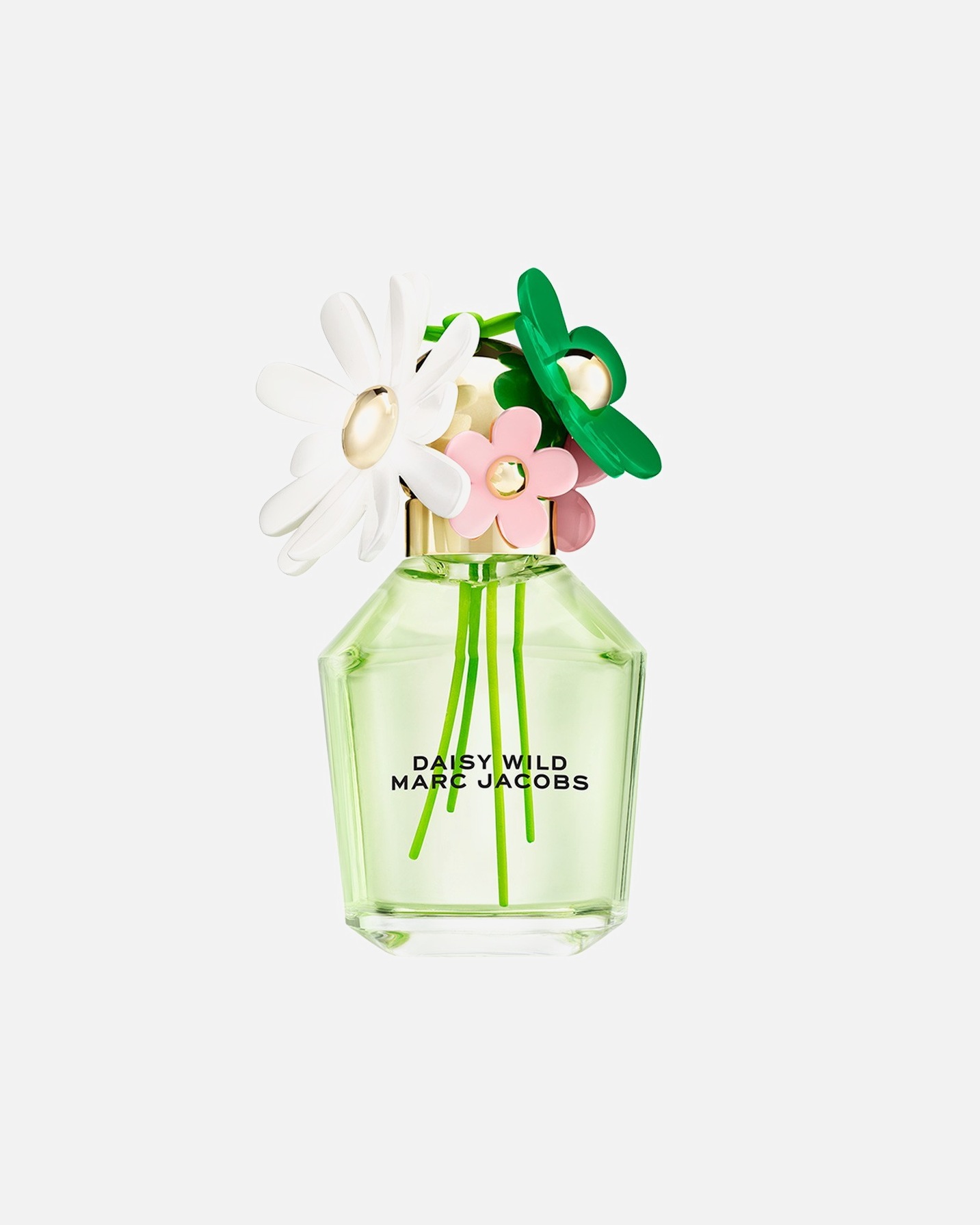 Eau de Parfum für Weiblich Marc Jacobs Daisy Wild 100 ml